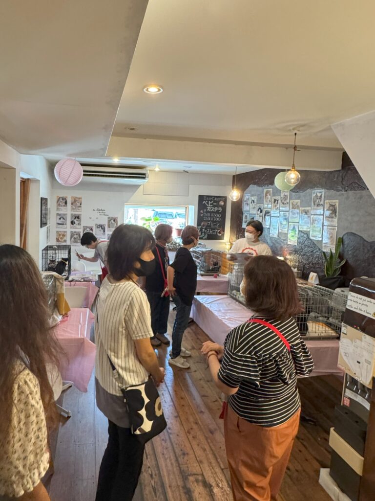 京都烏丸カフェギャラリーLex&co「譲渡会様子」