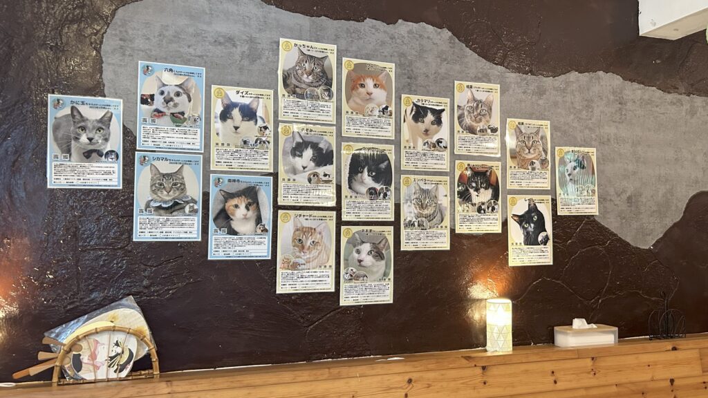 京都烏丸カフェギャラリーLex&co「保護猫プロフィール展示1」