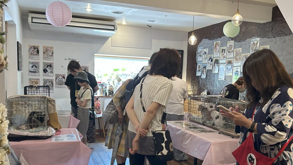 京都烏丸カフェギャラリーLex&co「譲渡会会場」